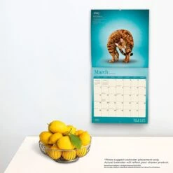 2023 BrownTrout Yoga Cats OFFICIAL 12" X 12" Monthly Wall Calendar, (9781975450199) -Bostich Shop D4C90705 CBCA 498C 8B4CD8442A29E616 s7