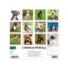 2023 Willow Creek Just American Pit Bull Terriers 12" X 12" Monthly Wall Calendar (24485) 1 2023 Willow Creek Just American Pit Bull Terriers 12" X 12" Monthly Wall Calendar (24485) -Bostich Shop D600866F E212 4129 866BA52E20D43E36 s7
