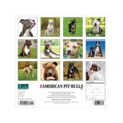 2023 Willow Creek Just American Pit Bull Terriers 12" X 12" Monthly Wall Calendar (24485)