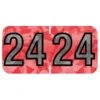 Medical Arts Press Holographic End-Tab Year Labels, 2024, Red, 500/Roll (0724HRD) 2 Medical Arts Press Holographic End-Tab Year Labels, 2024, Red, 500/Roll (0724HRD) -Bostich Shop D696BAC1 48F0 423D 876DBC089C765195 s7