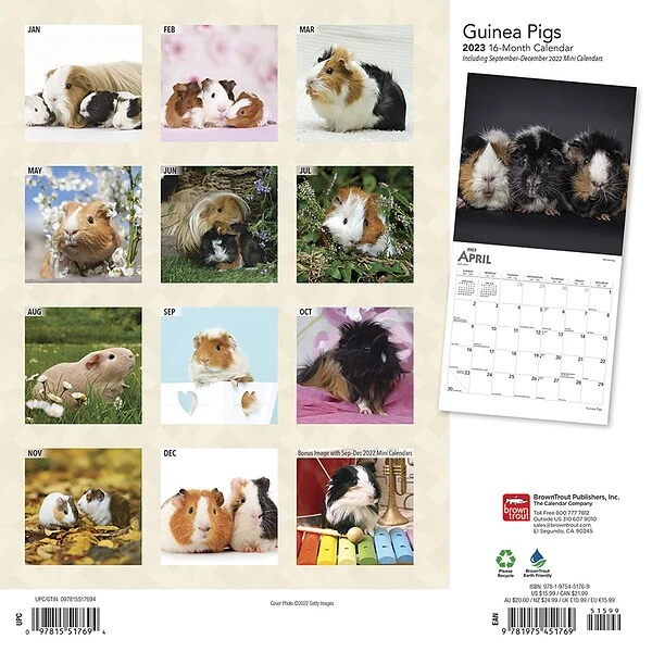 2023 BrownTrout Guinea Pigs 12" X 12" Monthly Wall Calendar, (9781975451769) 3 2023 BrownTrout Guinea Pigs 12" X 12" Monthly Wall Calendar, (9781975451769)
