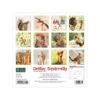 2023 Willow Creek Gettin' Squirrelly 7" X 7" Monthly Wall Calendar (28483) 2 2023 Willow Creek Gettin' Squirrelly 7" X 7" Monthly Wall Calendar (28483) -Bostich Shop E2D18A59 2217 4496 A9EAB18F01D42441 s7