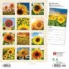 2023 BrownTrout Sunflowers 12" X 24" Monthly Wall Calendar, (9781975448837) -Bostich Shop E62AF613 EA10 4B64 A9C793EFBCF1BDAD s7