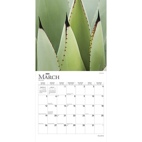 2023 BrownTrout Succulents 12" X 12" Monthly Wall Calendar (9781975452872) 4 2023 BrownTrout Succulents 12" X 12" Monthly Wall Calendar (9781975452872) - Image 2