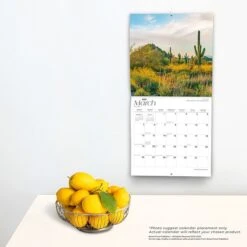 2023 BrownTrout Arizona Wild & Scenic 12" X 24" Monthly Wall Calendar, (9781975451127) -Bostich Shop E9A65F31 578D 4120 BAD6ECE721E46EF1 s7