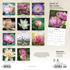 2023 Brush Dance Jewel Of The Lotus 12" X 12" Monthly Wall Calendar, (9781975454630)