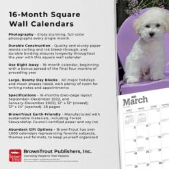 2023 BrownTrout Bichon Frise Puppies 12" X 12" Monthly Wall Calendar, (9781975454951) 12 2023 BrownTrout Bichon Frise Puppies 12" X 12" Monthly Wall Calendar, (9781975454951) -Bostich Shop EAC14054 D928 4A57 9DC2FCCF6C4A8A36 s7