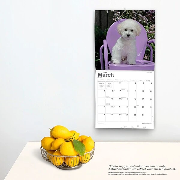 2023 BrownTrout Bichon Frise Puppies 12" X 12" Monthly Wall Calendar, (9781975454951) 5 2023 BrownTrout Bichon Frise Puppies 12" X 12" Monthly Wall Calendar, (9781975454951) - Image 3