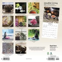 2023 Brush Dance Mindful Living 12" X 12" Monthly Wall Calendar (9781975454708)