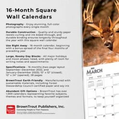 2023 BrownTrout White Tailed Deer 12" X 12" Monthly Wall Calendar (9781975449117) 12 2023 BrownTrout White Tailed Deer 12" X 12" Monthly Wall Calendar (9781975449117) -Bostich Shop FF9B21B7 1C6E 4589 9A499A0977154D53 s7