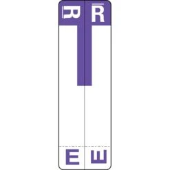 Medical Arts Press® E And R Name Labels, Purple, Smead® Alpha-Z® Compatible