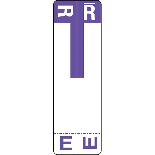 Medical Arts Press® E And R Name Labels, Purple, Smead® Alpha-Z® Compatible 3 Medical Arts Press® E And R Name Labels, Purple, Smead® Alpha-Z® Compatible