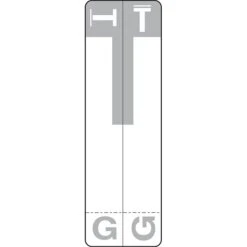 Medical Arts Press® G And T Name Labels, Gray, Smead® Alpha-Z® Compatible