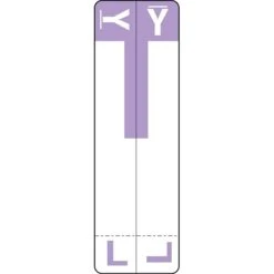 Medical Arts Press® L And Y Name Labels, Lavender, Smead® Alpha-Z® Compatible