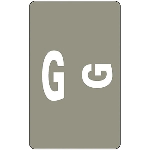 Smead® Alpha-Z Color-Coded Second Letter "G" Labels, 10 Labels Per Sheet, Gray, 1"H X 1 5/8"W, 100 Labels/Pk 4 Smead® Alpha-Z Color-Coded Second Letter "G" Labels, 10 Labels Per Sheet, Gray, 1"H X 1 5/8"W, 100 Labels/Pk - Image 2