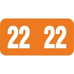 Medical Arts Press TAB Large Compatible Orange End-Tab Year Labels; 2022, 500/Roll (3266722)
