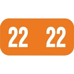 Medical Arts Press TAB 2022 Small Compatible Orange End-Tab Year Labels; 1/2 X 1", 250/Pack (3266622)