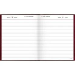 2023 AT-A-GLANCE 7.5" X 9.5" Daily Standard Diary, Red/Gold (SD374-13-23)