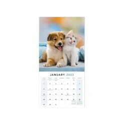 2023 Mead Paw Pals 12" X 12" Monthly Wall Calendar (LME2261023)