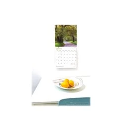 2022-2023 BrownTrout Large Print 24" X 12" Monthly Wall Calendar (9781975457020) -Bostich Shop sp169025207 s7