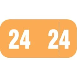 Medical Arts Press Smead Compatible Small End-Tab 2024 Year Label, 1/2" X 1", Orange, 250/Pack (3266324)