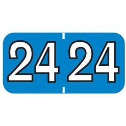 Medical Arts Press Colwell Jewel Tone Compatible Large 2024 Year Label, 3/4" X 1-1/2", Blue, 500/Roll (3391924)