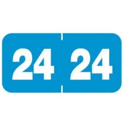 Medical Arts Press Jeter Compatible 2024 Year Roll Style Labels, Blue, 500/Roll (3266924)