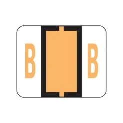 Smead BCCR Color Coded Alphabetic Labels, B, Light Orange, 500/Roll (67072)