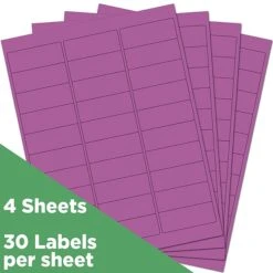 JAM Paper Laser/Inkjet Mailing Address Label, 1" X 2 5/8", Purple, 30 Labels/Sheet, 4 Sheets/Pack (302725788)