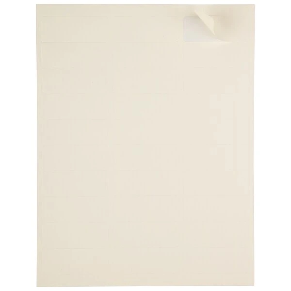 JAM Paper® Address Labels, 1 X 2 5/8, Ivory, 30 Labels/Sheet, 4 Sheets/Pack, 120 Labels/Pack (17966071) 4 JAM Paper® Address Labels, 1 X 2 5/8, Ivory, 30 Labels/Sheet, 4 Sheets/Pack, 120 Labels/Pack (17966071) - Image 2