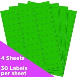 JAM Paper Laser/Inkjet Address Labels, 1" X 2 5/8", Neon Green, 30 Labels/Sheet, 4 Sheets/Pack, 120 Labels/Pack (3543284)